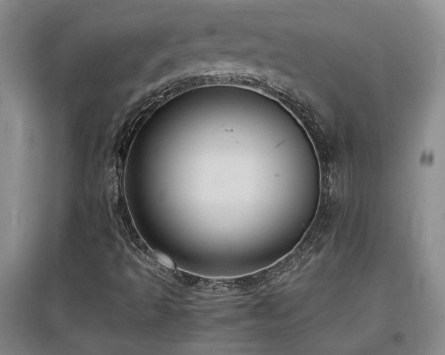 X0000097661493200802291413