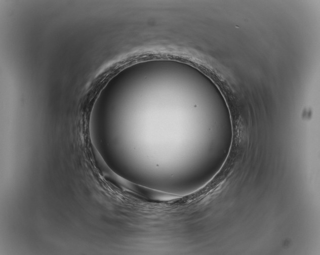 X0000097661494200802291413