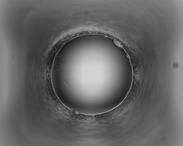 X0000097661495200802291413