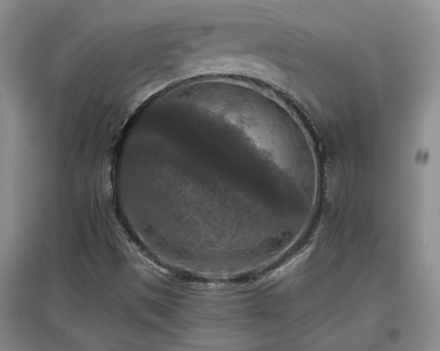 X0000097661497200802291413