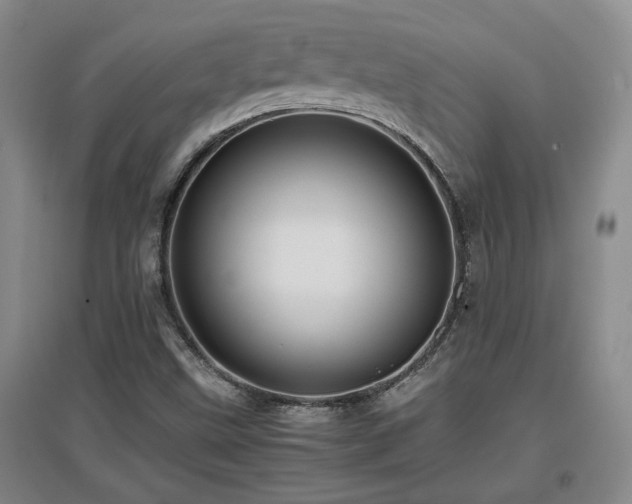X0000097661499200802291413