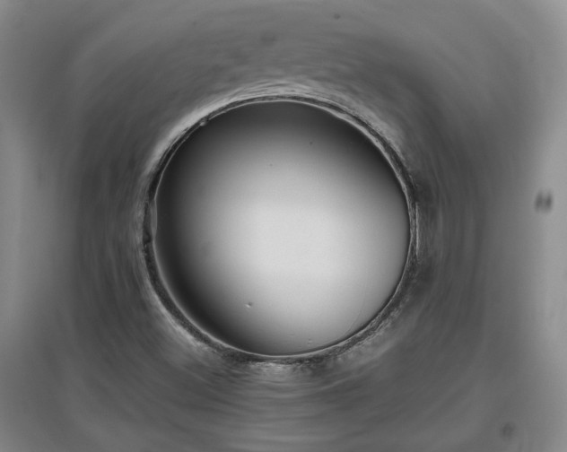 X0000097661500200802291413