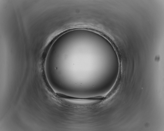 X0000097661501200802291413