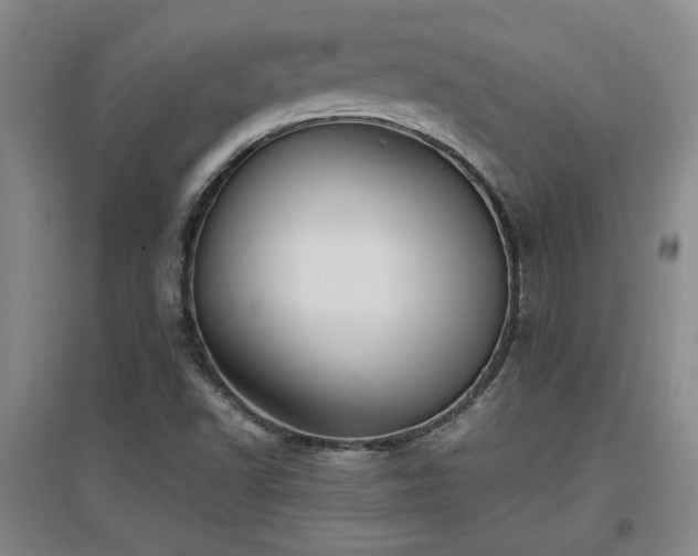 X0000097661502200802291413
