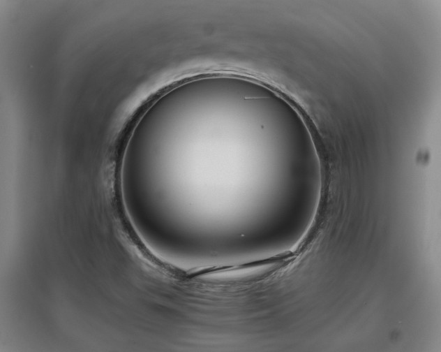 X0000097661503200802291413