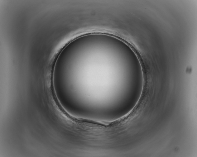 X0000097661504200802291413