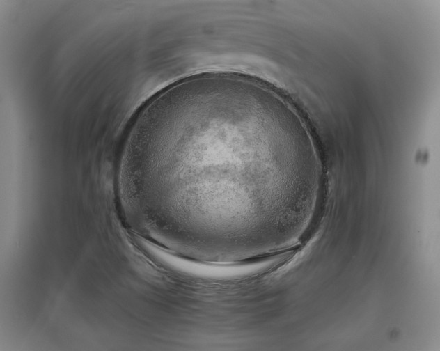 X0000097661505200802291413