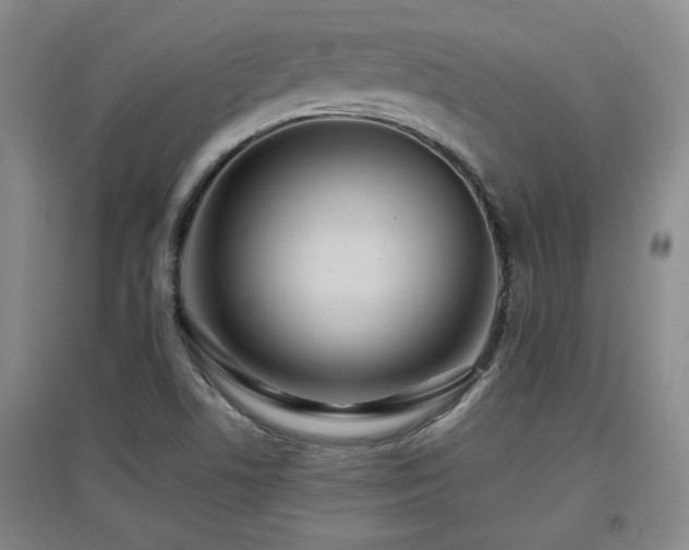 X0000097661506200802291413