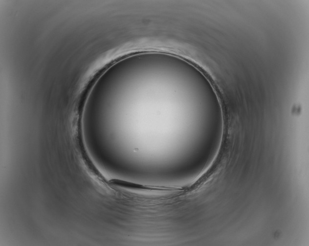 X0000097661507200802291413