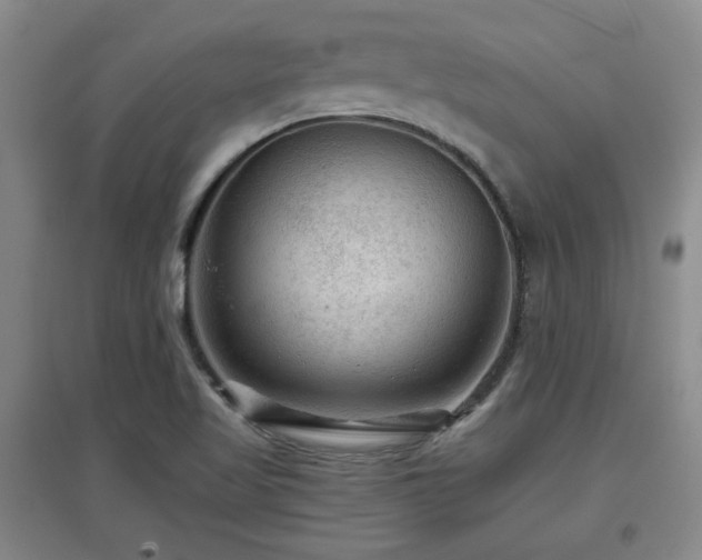 X0000097661509200802291414