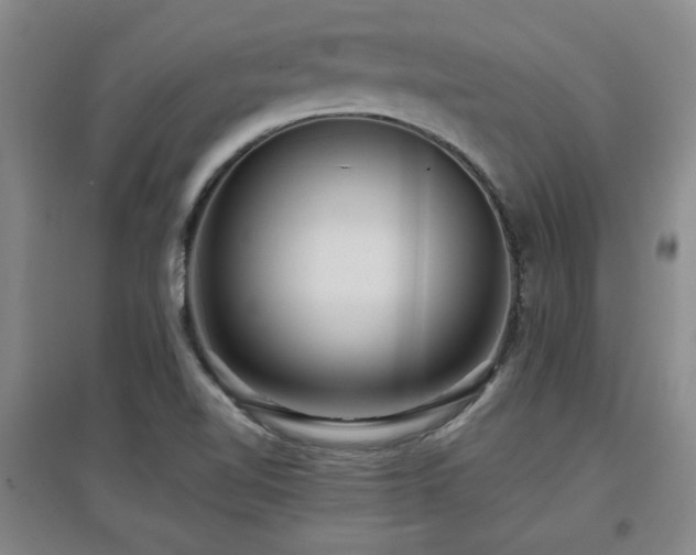 X0000097661510200802291414