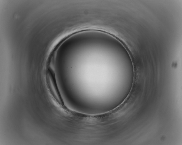 X0000097661511200802291414