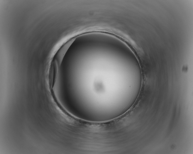 X0000097661512200802291414