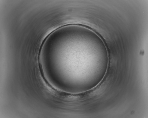 X0000097661513200802291414