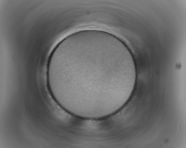 X0000097661514200802291414
