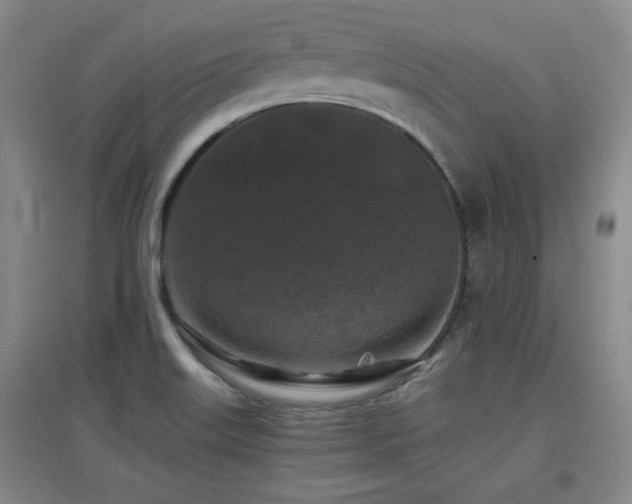 X0000097661515200802291414