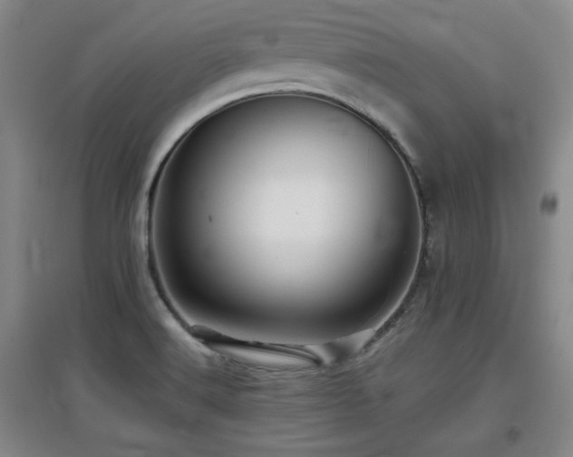 X0000097661516200802291414