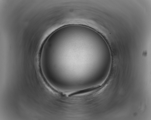 X0000097661517200802291414