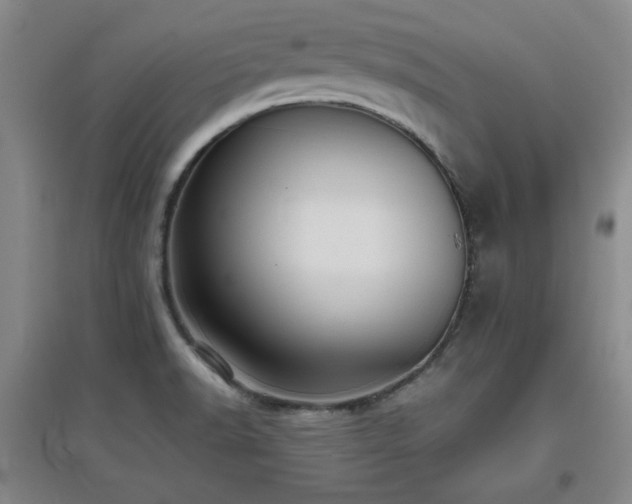 X0000097661518200802291414