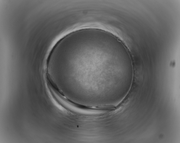 X0000097661519200802291414