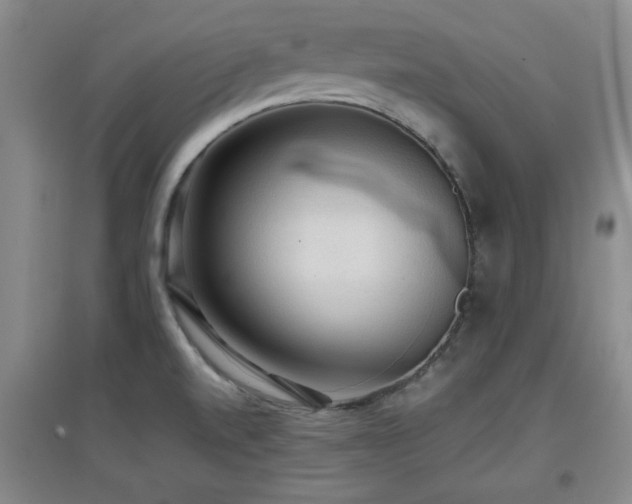 X0000097661520200802291414