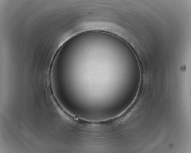 X0000097661521200802291414