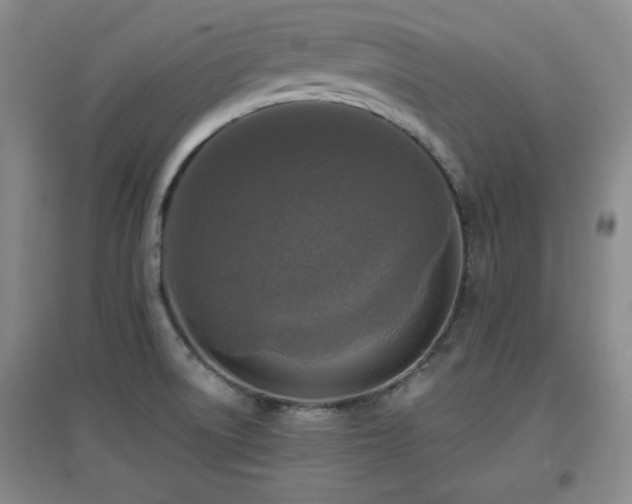 X0000097661522200802291414
