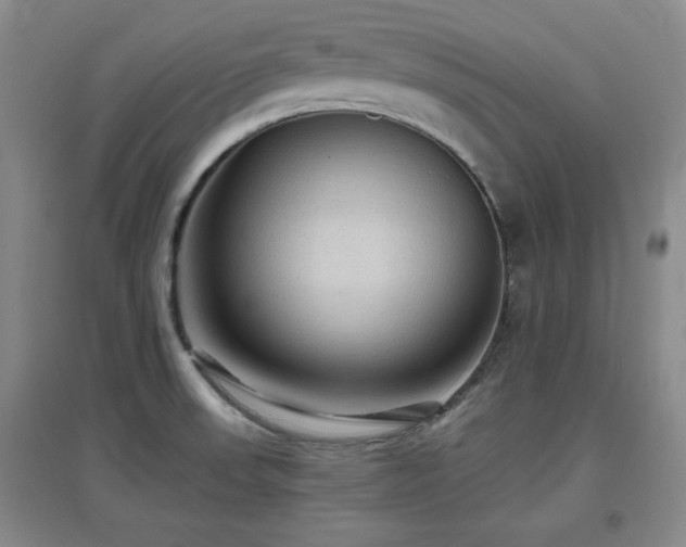 X0000097661523200802291414