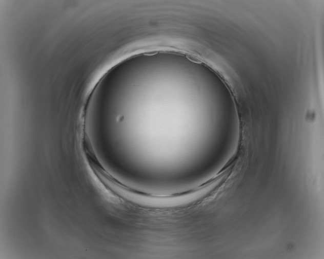 X0000097661524200802291414