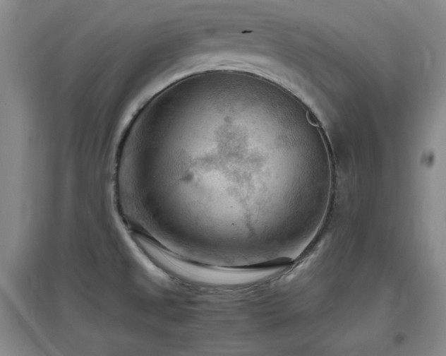 X0000097661525200802291414