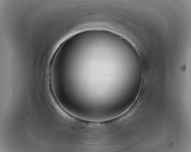 X0000097661526200802291414