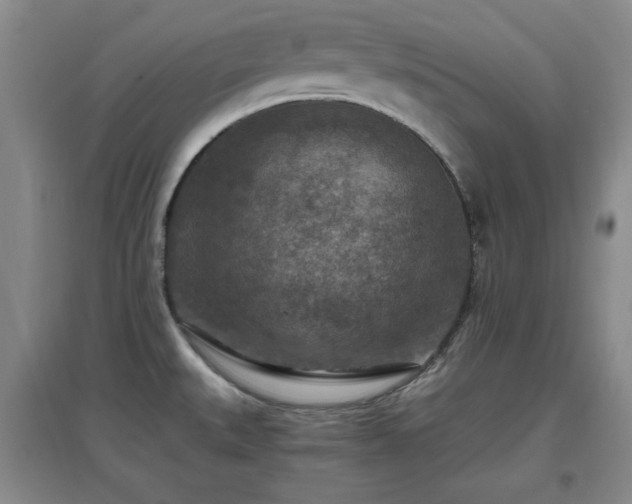 X0000097661527200802291414