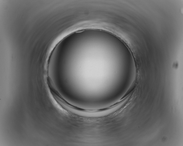 X0000097661528200802291414