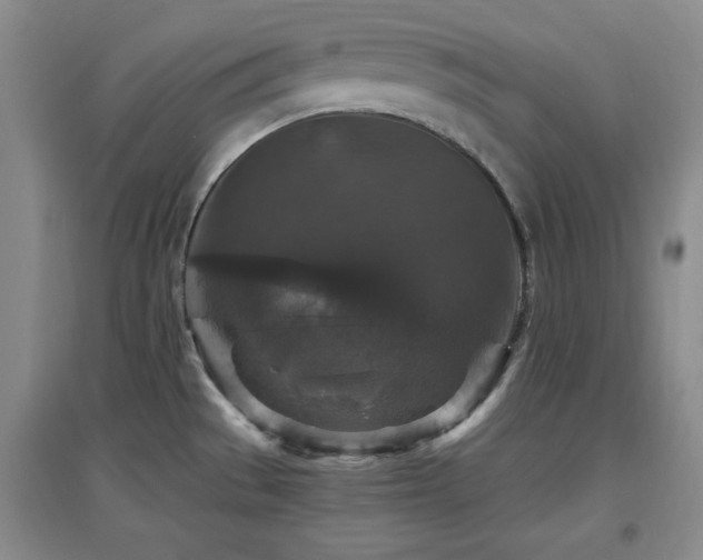 X0000097661529200802291414