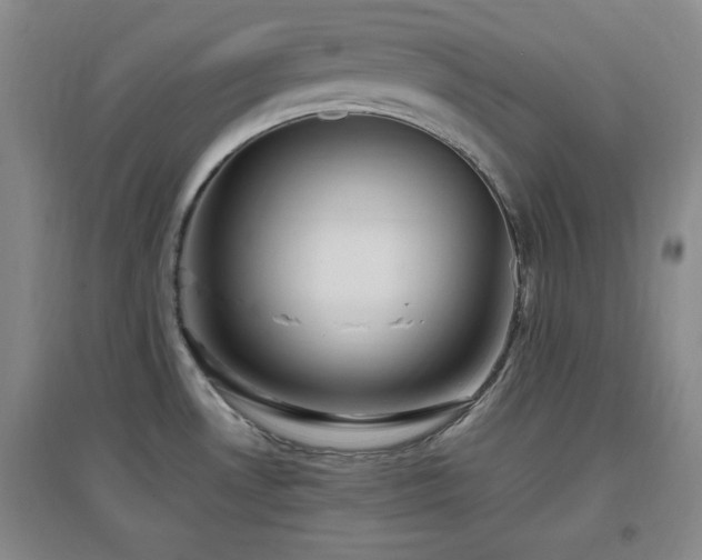 X0000097661530200802291414