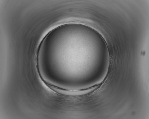 X0000097661531200802291414