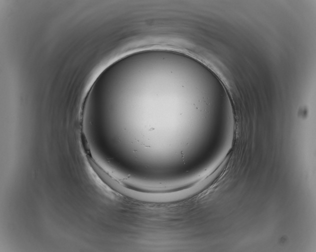 X0000097661532200802291414