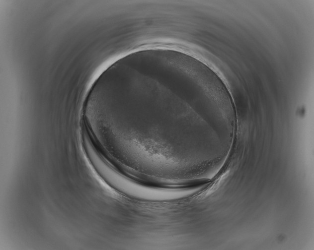 X0000097661533200802291414