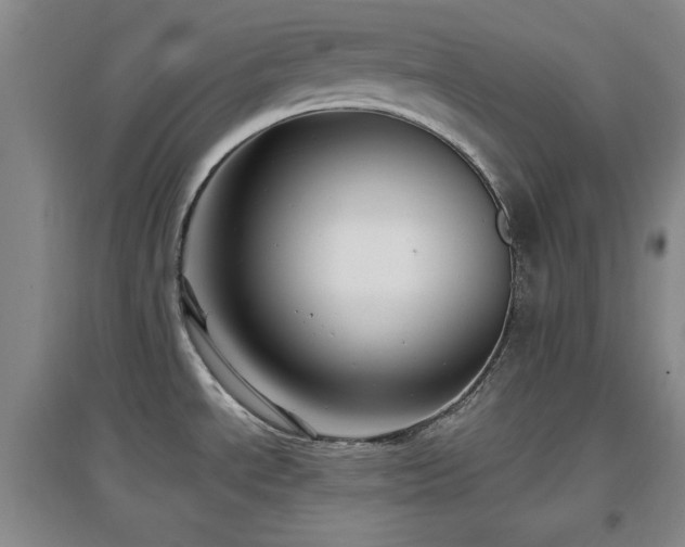 X0000097661534200802291414