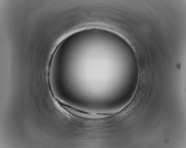 X0000097661535200802291414