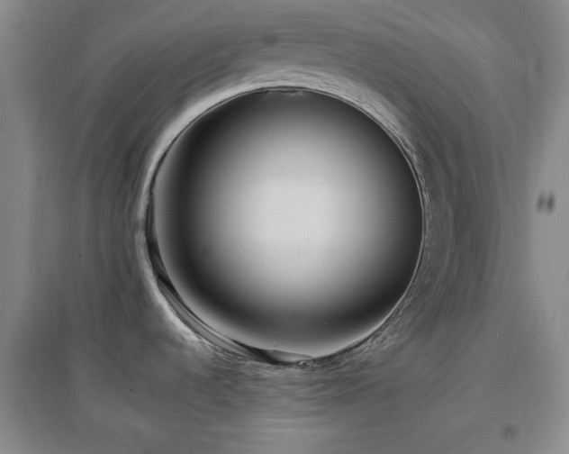 X0000097661536200802291414