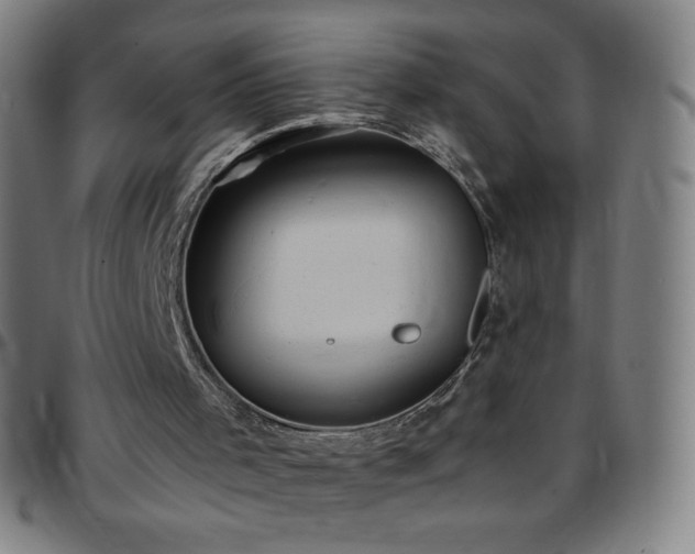 X0000097660001200803071543