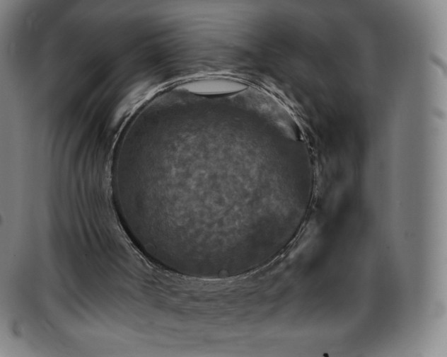 X0000097660002200803071543