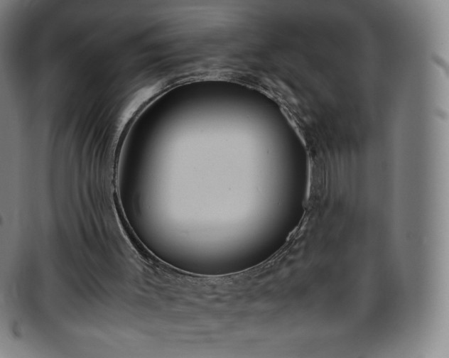 X0000097660003200803071543