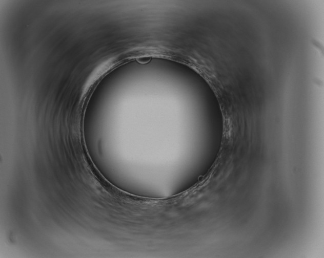 X0000097660004200803071543