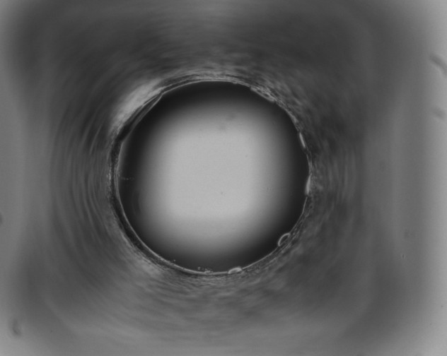 X0000097660005200803071543