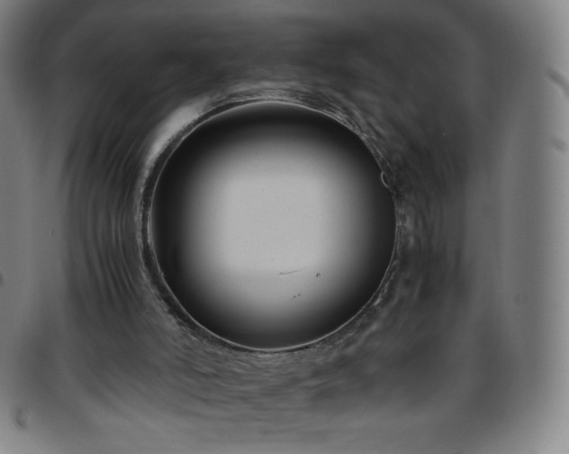 X0000097660006200803071543