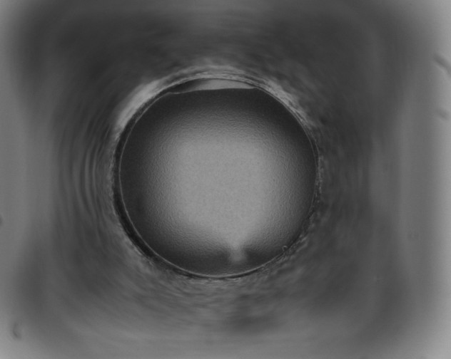 X0000097660007200803071543