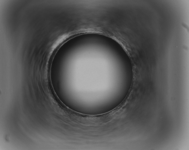 X0000097660008200803071543