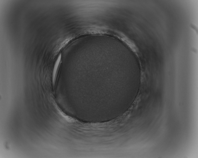 X0000097660009200803071543